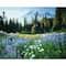 Meadow Scene Paint-by-Number Kit by Artist's Loft®